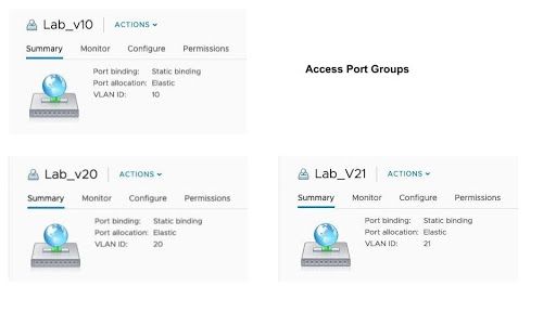 three guest port groups: Lab_v10, Lab_v20 & Lab_v21