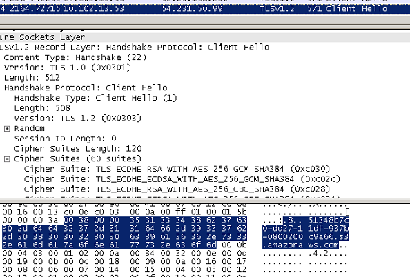 Amazon_TLS.PNG