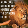 LION.png