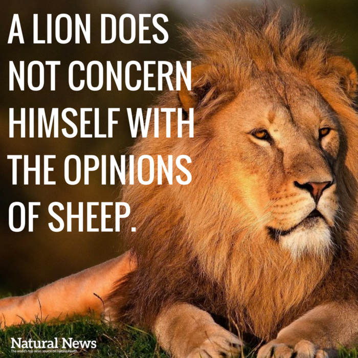 LION.png