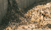 zombies.png