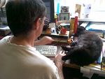 Peter working at computer, 'assisted' by Shadow_05-02-2012.jpg