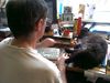 Peter working at computer, 'assisted' by Shadow_05-02-2012.jpg