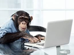 monkey computer.png