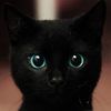 cat.jpg