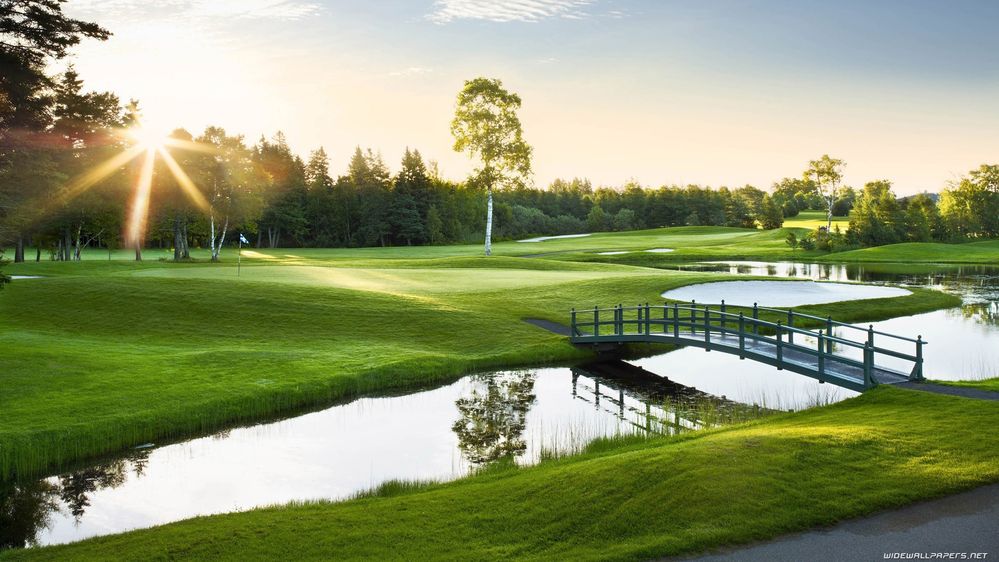 golf-course-iphone-wallpaper.jpg