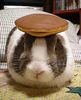 dorayaki2.jpg
