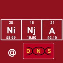_DNS_Ni-Nj-A.jpg