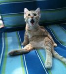 astonished__700.jpg