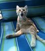 astonished__700.jpg