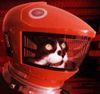 Space Odyssey Cat 2.jpg