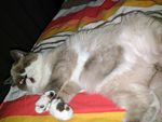 IMG_20170527_011535.jpg