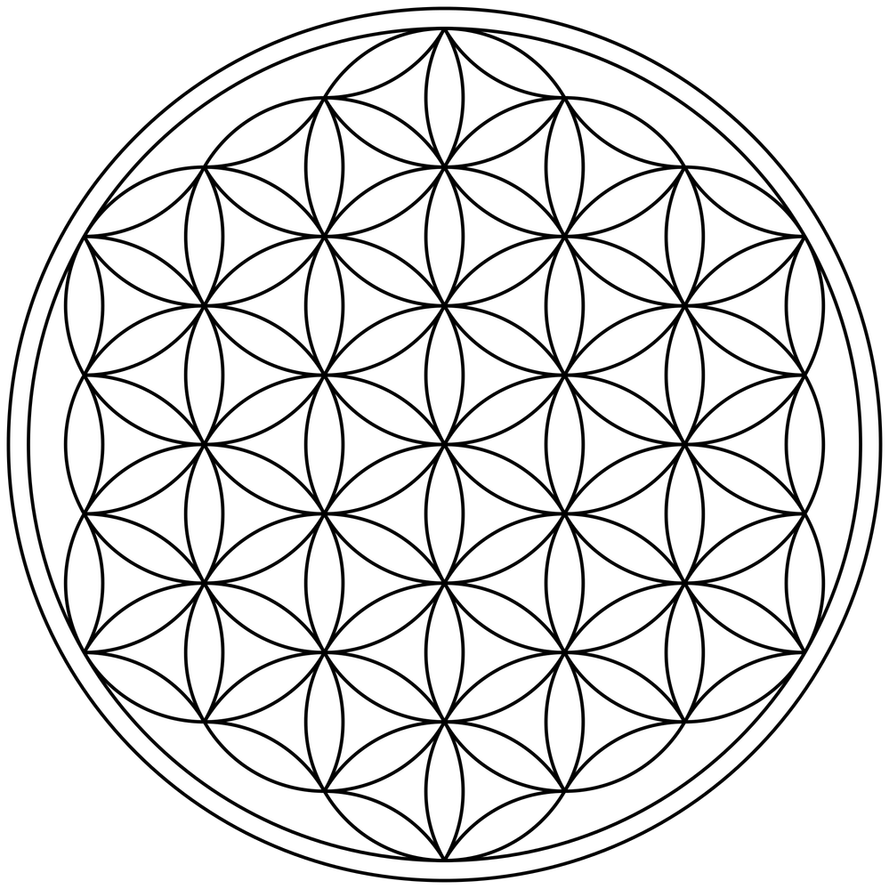 FOL.png