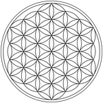 FOL.png