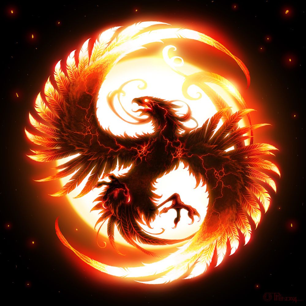 Phoenix-1.jpg