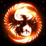 Profile (Phoenix)