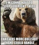 Stop you Bear.jpg