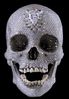 Newdiamondskull.jpg