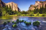 Yosemite Icon.jpg