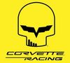 Corvette Racing Yellow.JPG