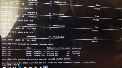 a873bde2-606f-4c02-a7d4-3f9c06d5fff2.jpg