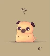pug.jpg
