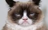 Grumpy-Cat-920x584.jpg