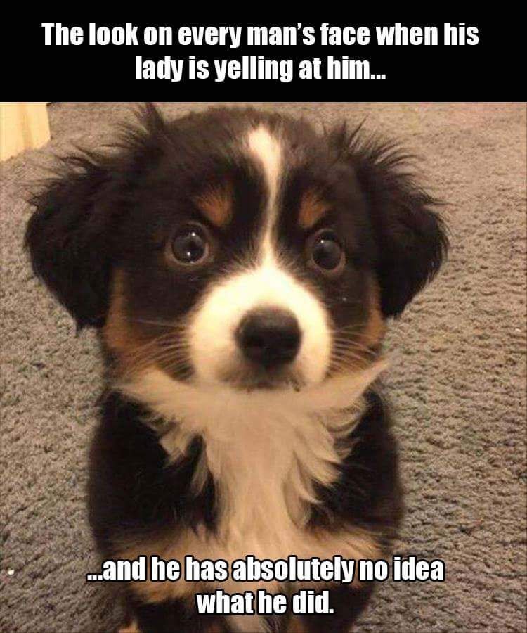 FB_IMG_1463143044629.jpg