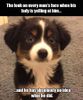 FB_IMG_1463143044629.jpg