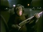 Trunk Monkey.jpg