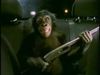 Trunk Monkey.jpg