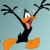 daffy.gif
