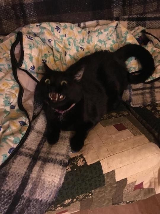 8mBcW4m.jpg