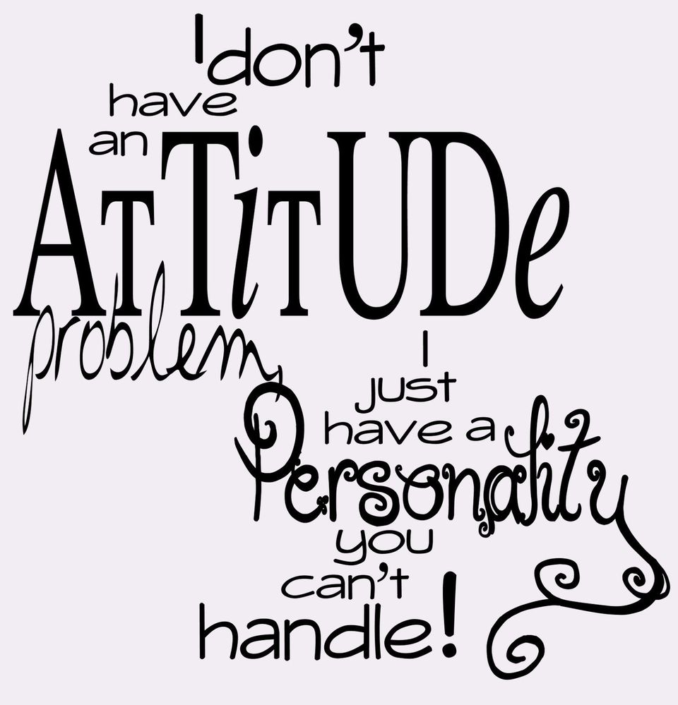I-dont-have-an-attitude-problem.jpg