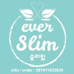 everslim2.jpg