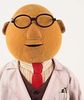 Bunsen.jpg