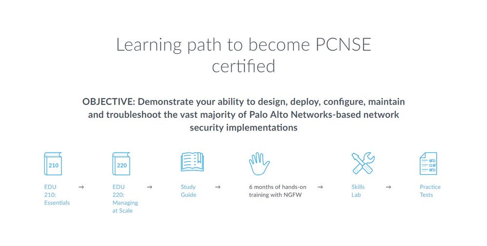 PCNSA Test Guide Online