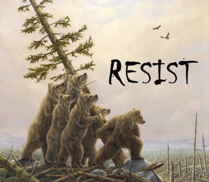 resist.jpg