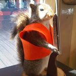 IMG00022-20100803-1502.jpg