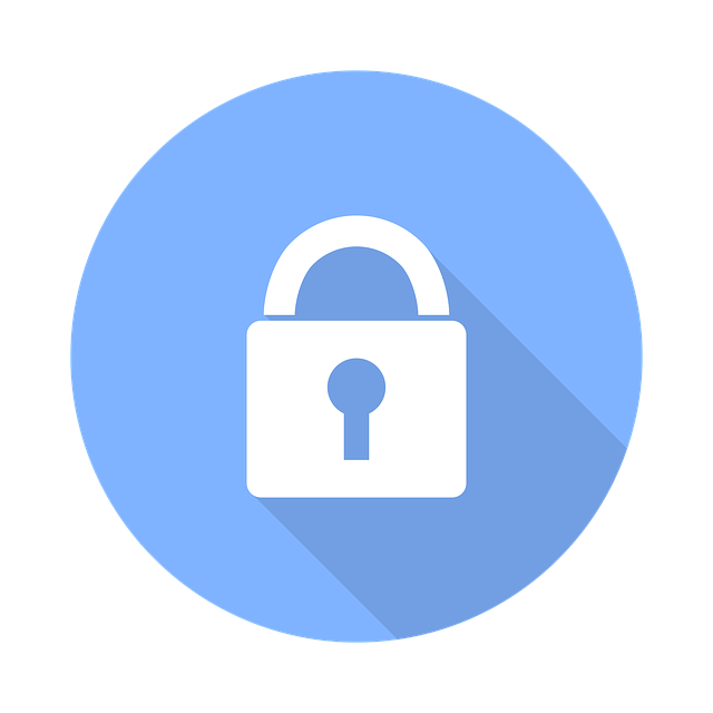cyber-security-1915628_640.png