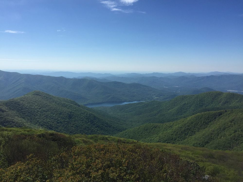 NC.jpg