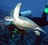 turtle.gif