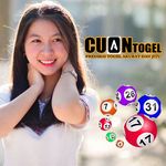 Profile (Cuantogel)