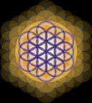 Flower-of-Life.jpg
