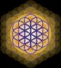 Flower-of-Life.jpg