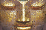 Buddha (edited).png