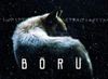 boru.jpg