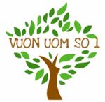 Profile (vuonuomsomot)