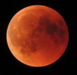 Profile (PeterBernold)