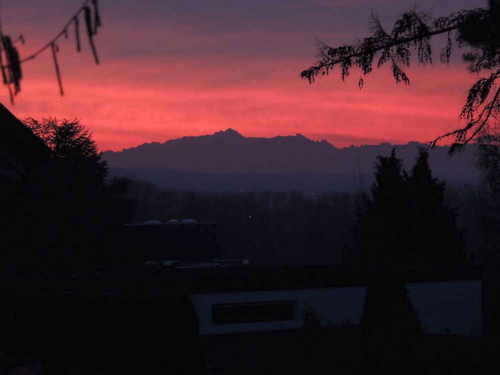 Saentis_5668_Fotor.jpg